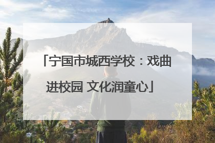 宁国市城西学校：戏曲进校园 文化润童心