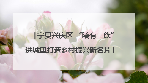 宁夏兴庆区 “曦有一族”进城里打造乡村振兴新名片