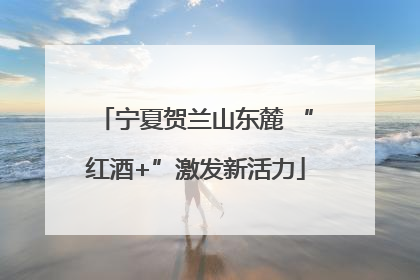 宁夏贺兰山东麓 “红酒+”激发新活力