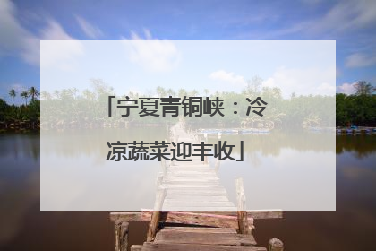 宁夏青铜峡：冷凉蔬菜迎丰收