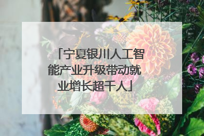 宁夏银川人工智能产业升级带动就业增长超千人