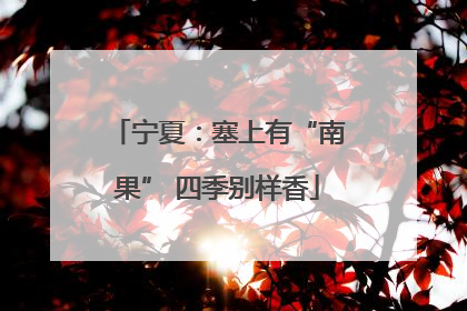 宁夏：塞上有“南果” 四季别样香