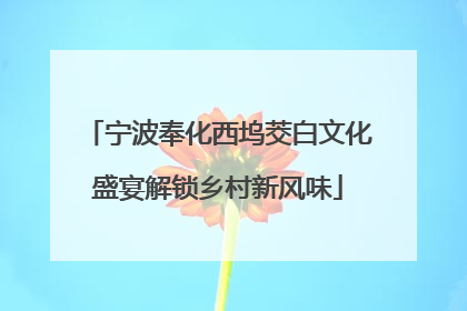 宁波奉化西坞茭白文化盛宴解锁乡村新风味