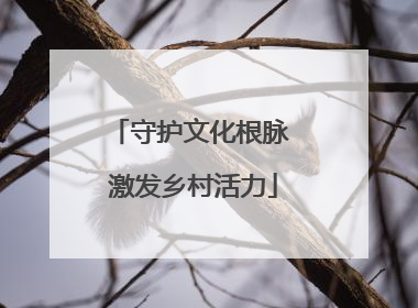 守护文化根脉 激发乡村活力