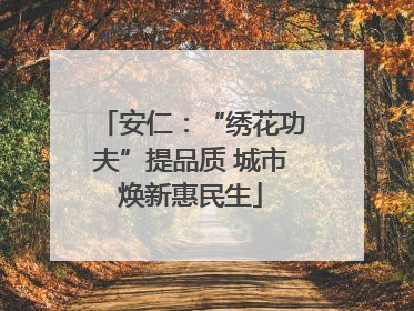 安仁：“绣花功夫”提品质 城市焕新惠民生