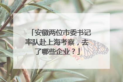 安徽两位市委书记率队赴上海考察，去了哪些企业？