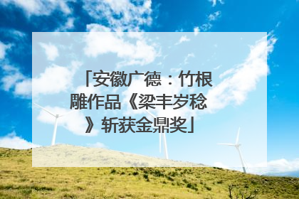 安徽广德：竹根雕作品《梁丰岁稔》斩获金鼎奖