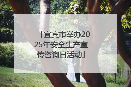 宜宾市举办2025年安全生产宣传咨询日活动