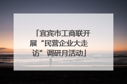 宜宾市工商联开展“民营企业大走访”调研月活动