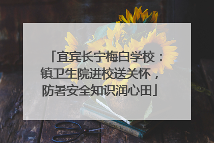 宜宾长宁梅白学校：镇卫生院进校送关怀，防暑安全知识润心田