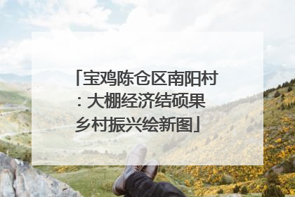 宝鸡陈仓区南阳村：大棚经济结硕果 乡村振兴绘新图
