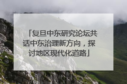 复旦中东研究论坛共话中东治理新方向，探讨地区现代化道路