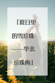 夏日里的雪珍珠——华北珍珠梅