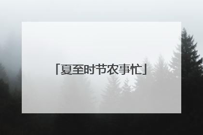 夏至时节农事忙