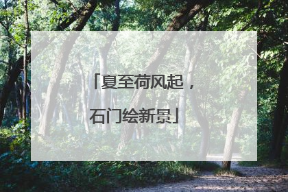 夏至荷风起，石门绘新景