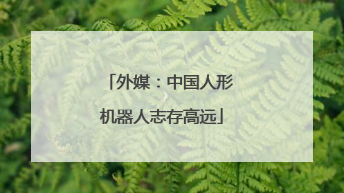外媒：中国人形机器人志存高远