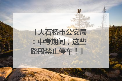 大石桥市公安局：中考期间，这些路段禁止停车！