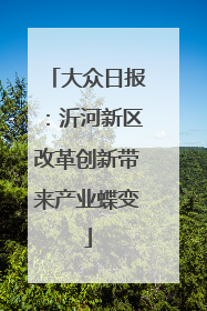 大众日报：沂河新区改革创新带来产业蝶变