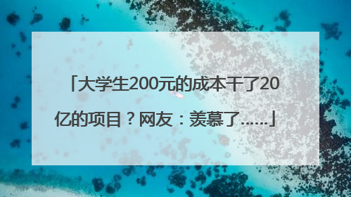 大学生200元的成本干了20亿的项目？网友：羡慕了……