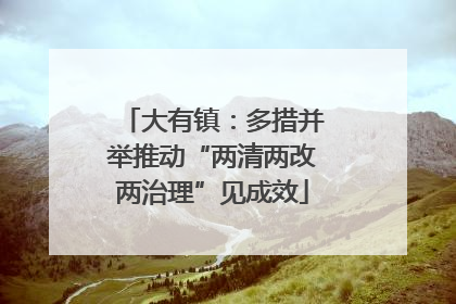 大有镇：多措并举推动“两清两改两治理”见成效