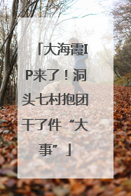 大海霞IP来了！洞头七村抱团干了件“大事”