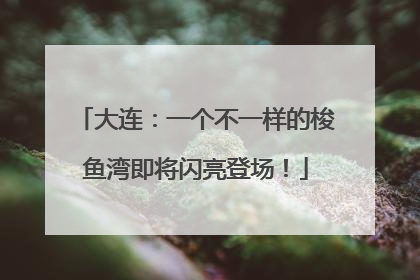 大连：一个不一样的梭鱼湾即将闪亮登场！