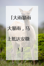 大雨暴雨大暴雨，马上抵达安徽！