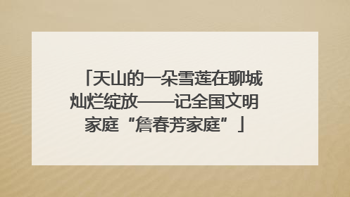 天山的一朵雪莲在聊城灿烂绽放——记全国文明家庭“詹春芳家庭”