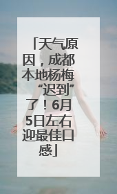 天气原因，成都本地杨梅“迟到”了！6月5日左右迎最佳口感