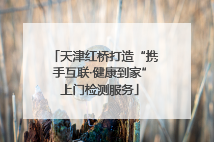 天津红桥打造“携手互联·健康到家”上门检测服务