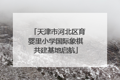 天津市河北区育婴里小学国际象棋共建基地启航