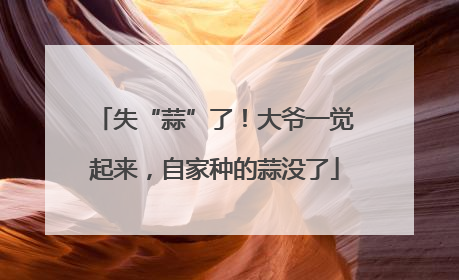 失“蒜”了！大爷一觉起来，自家种的蒜没了