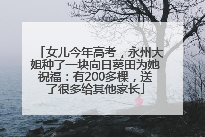 女儿今年高考，永州大姐种了一块向日葵田为她祝福：有200多棵，送了很多给其他家长