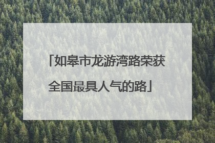 如皋市龙游湾路荣获全国最具人气的路