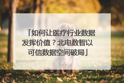 如何让医疗行业数据发挥价值？北电数智以可信数据空间破局