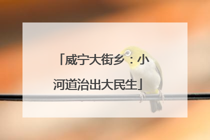 威宁大街乡：小河道治出大民生