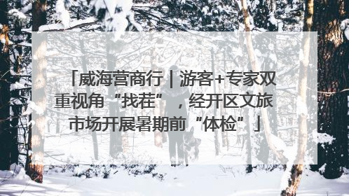 威海营商行｜游客+专家双重视角“找茬”，经开区文旅市场开展暑期前“体检”