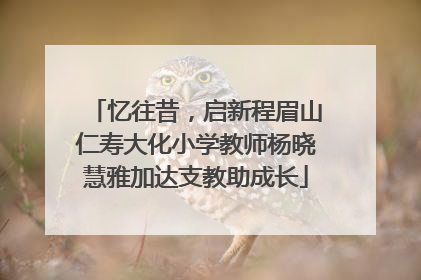 忆往昔，启新程眉山仁寿大化小学教师杨晓慧雅加达支教助成长