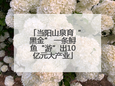 当阳山泉育“黑金” 一条鲟鱼“游”出10亿元大产业