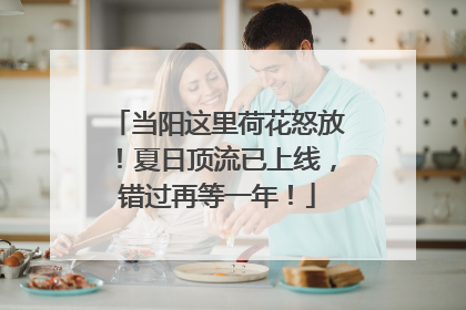 当阳这里荷花怒放！夏日顶流已上线，错过再等一年！