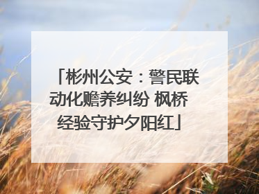 彬州公安：警民联动化赡养纠纷 枫桥经验守护夕阳红