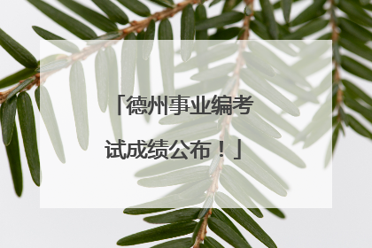 德州事业编考试成绩公布！