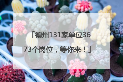 德州131家单位3673个岗位，等你来！