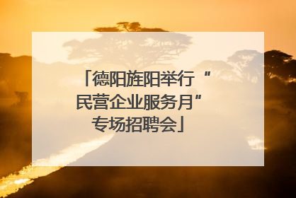 德阳旌阳举行“民营企业服务月”专场招聘会