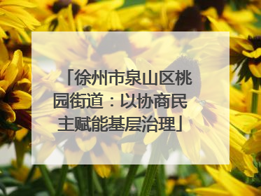 徐州市泉山区桃园街道：以协商民主赋能基层治理