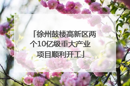 徐州鼓楼高新区两个10亿级重大产业项目顺利开工