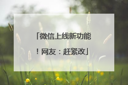 微信上线新功能！网友：赶紧改