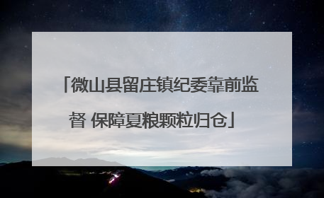 微山县留庄镇纪委靠前监督 保障夏粮颗粒归仓