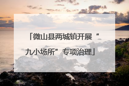 微山县两城镇开展“九小场所”专项治理