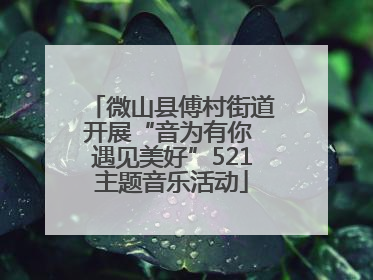 微山县傅村街道开展“音为有你 遇见美好”521主题音乐活动